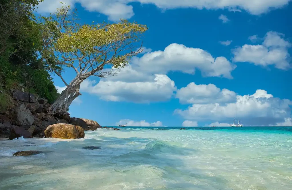 international tour package from kerala