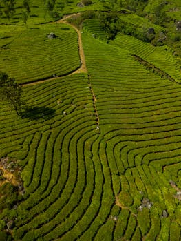 munnar tour package